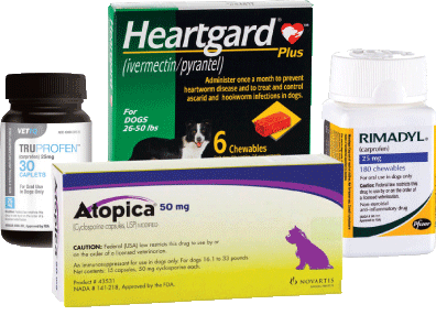 Grouping of Pet Medication