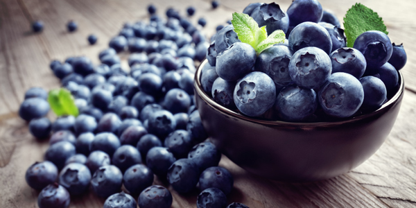 Bowl of Blueberries