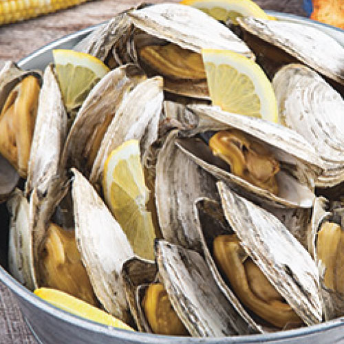 lemon garlic steamed clams