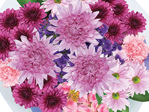 Bouquet of Pink & Purple Flowers