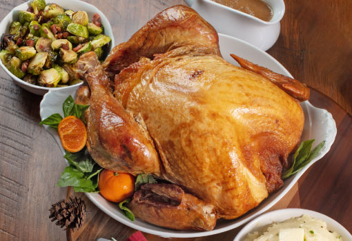 Your Holiday Dinner Feast